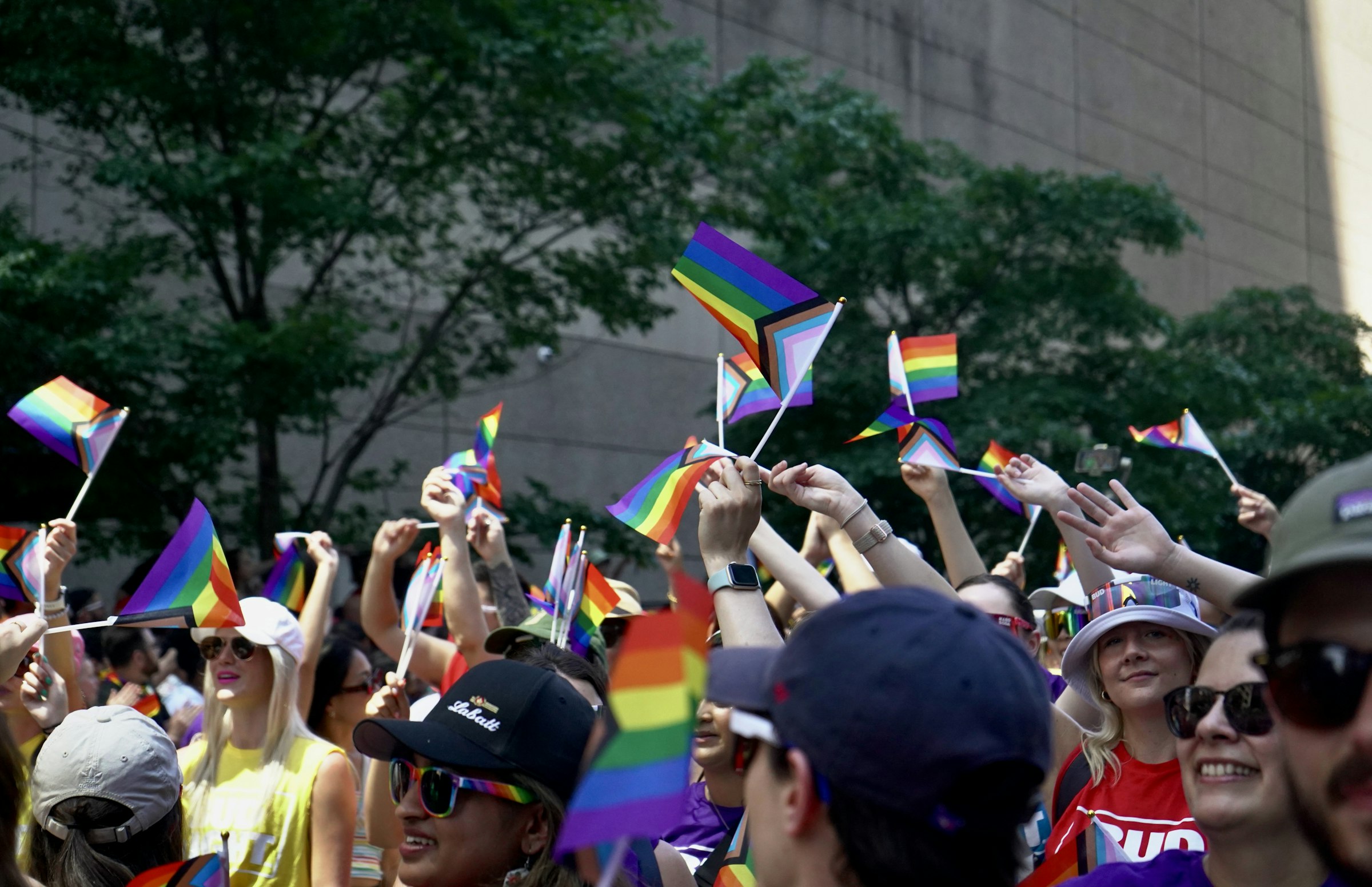 A large group of people holding rainbow flags at a Pride parade.